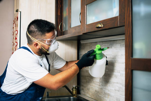 Best Bed Bug Extermination  in Weaver, AL