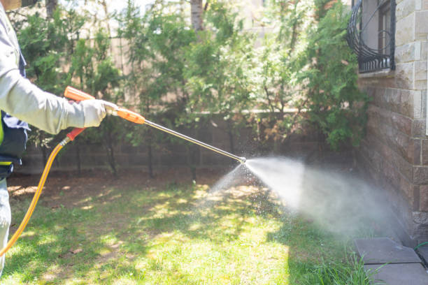 Best Termite Control Services  in Weaver, AL