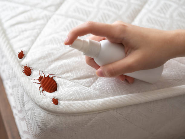 Best Best Pest Control Companies  in Weaver, AL