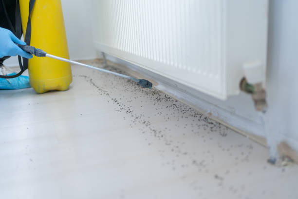 Best Cockroach Control Services  in Weaver, AL