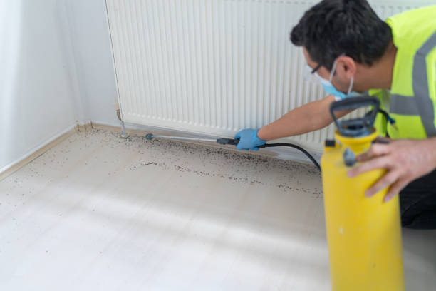 Best Residential Pest Control  in Weaver, AL