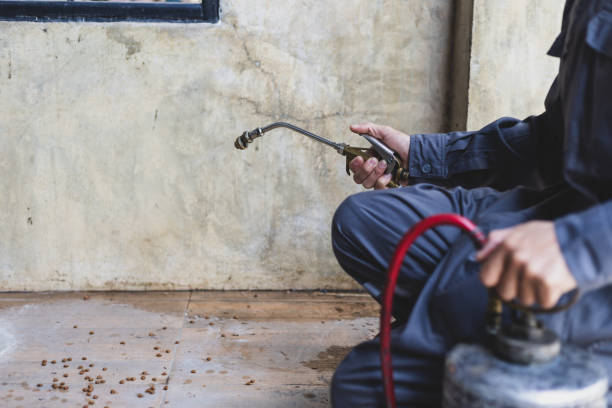 Best Emergency Pest Control  in Weaver, AL