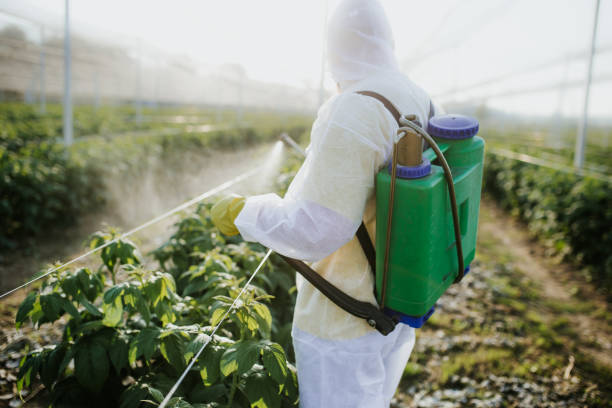  Weaver, AL Pest Control Pros